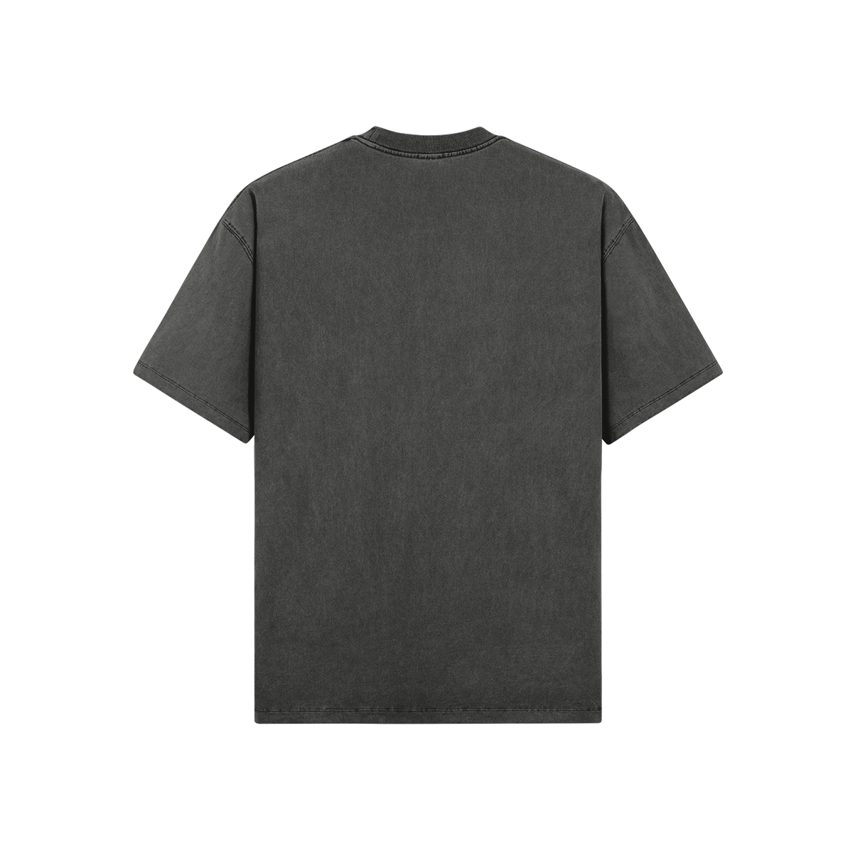 The Hachiko Memory Oversized Washed Tee